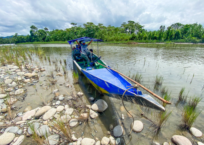 The Amazon